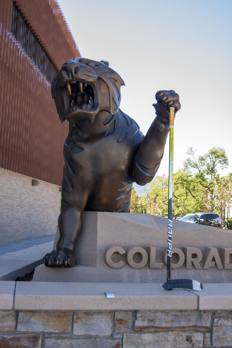 CCTigers's tweet photo. We're taking Tiger Pride to a whole new level 🐯

A huge thank you to the Kiemel family and their generous donation for making the new statue outside of Robson Arena a dream come true!

#CCTigers #TigerPride https://t.co/ztyeFcriBR