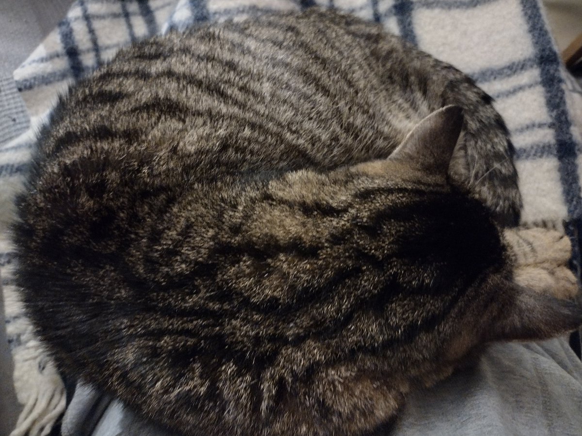 In case anyone was wondering, this is what a perfect circle looks like.