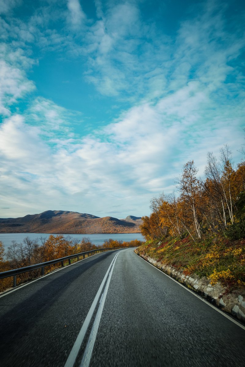 ValtteriBottas's tweet photo. It’s called Ruska 🍂🍁

When the nature sucks the nutrients out of the leaves in preparation to survive the hardcore arctic winter 🇫🇮

#VB77 @tiffanycromwell #finland #lapland #ruska https://t.co/Z7jkgL1w4f