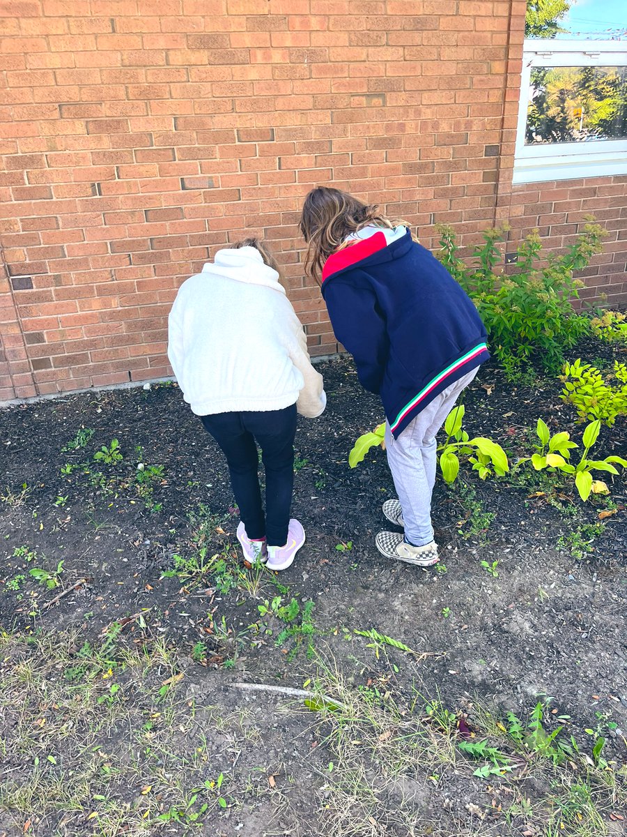 Rosangela Di Nardo (@ms_dinard0) on Twitter photo We took part in #CleaningTheCapital and helped clean our school yard. We cleaned up the garbage along the path in the front of the school.🌎 #ocsb <a href="/ocsbEco/">ocsbECO</a> <a href="/SLEC_LEO/">St. Leonard’s Environment Club</a> <a href="/StLeonardOCSB/">St. Leonard School</a> #ocsbBeCommunity #ocsbEco We took part in #CleaningTheCapital and helped clean our school yard. We cleaned up the garbage along the path in the front of the school.🌎 #ocsb <a href="/ocsbEco/">ocsbECO</a> <a href="/SLEC_LEO/">St. Leonard’s Environment Club</a> <a href="/StLeonardOCSB/">St. Leonard School</a> #ocsbBeCommunity #ocsbEco