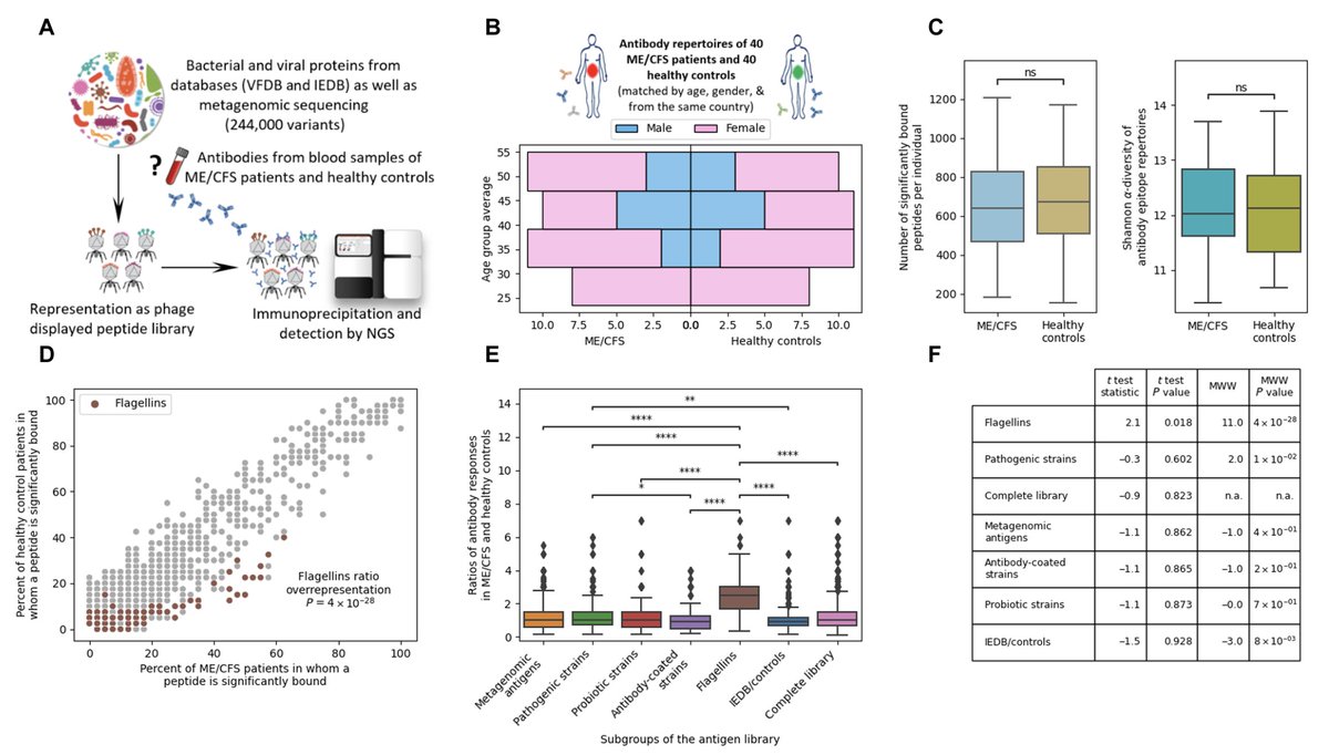 EricTopol's tweet photo. The immune system response &amp; gut microbiome have been implicated for both #MECFS and #LongCovid. A new @ScienceAdvances systematic report in people with severe ME/CFS found antibodies vs a specific bacterium antigen https://t.co/8x50AYpZWD
@segal_eran @KalkaIris @WeizmannScience https://t.co/rmIRs1UbgX