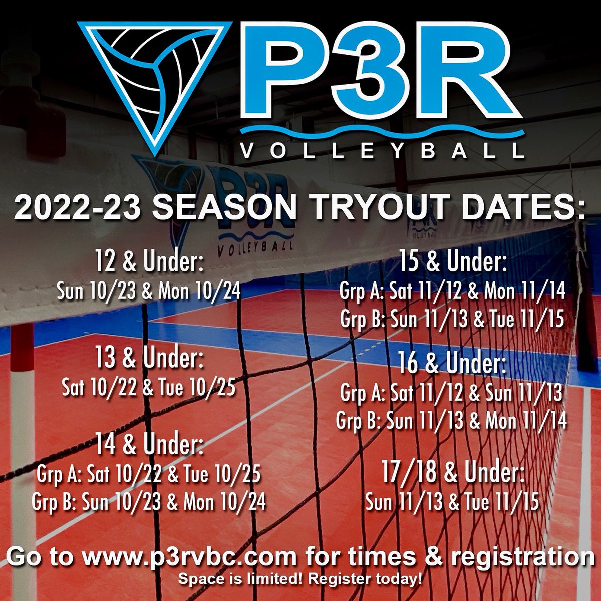 P3R Volleyball tweet media