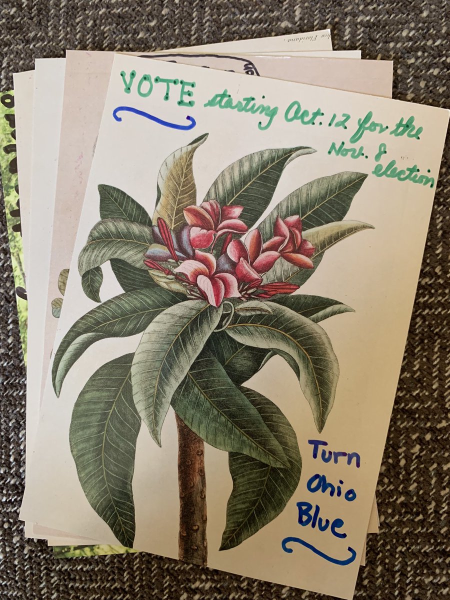 A few for #FloralFriday to help #TurnOhioBlue! #PostcardsToVoters