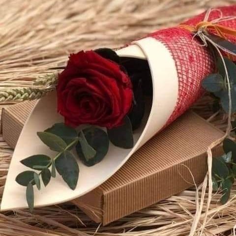 md31053096's tweet photo. #صورة_ملف_شخصي_جديدة https://t.co/4hUHJQbCWM