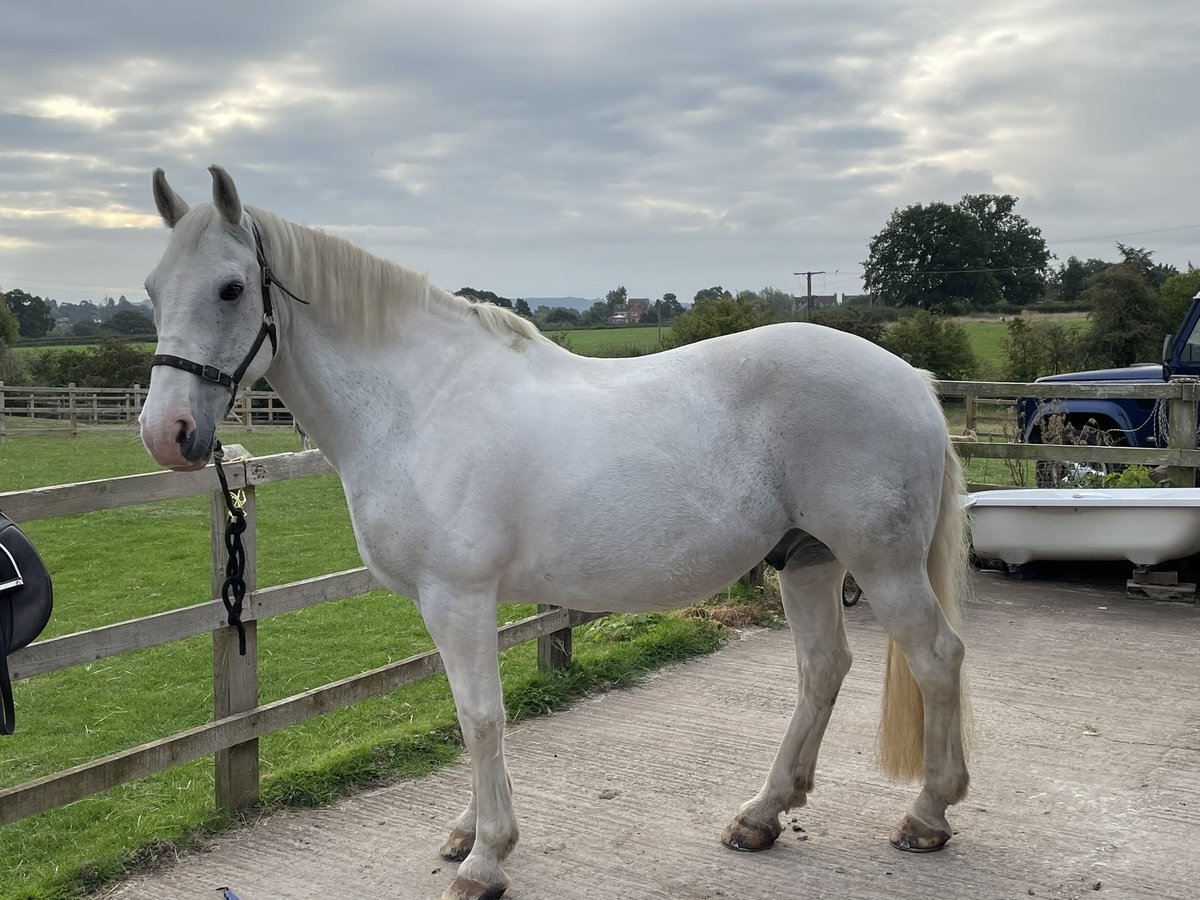 Is it me? 🤷🏻‍♀️ tweet media