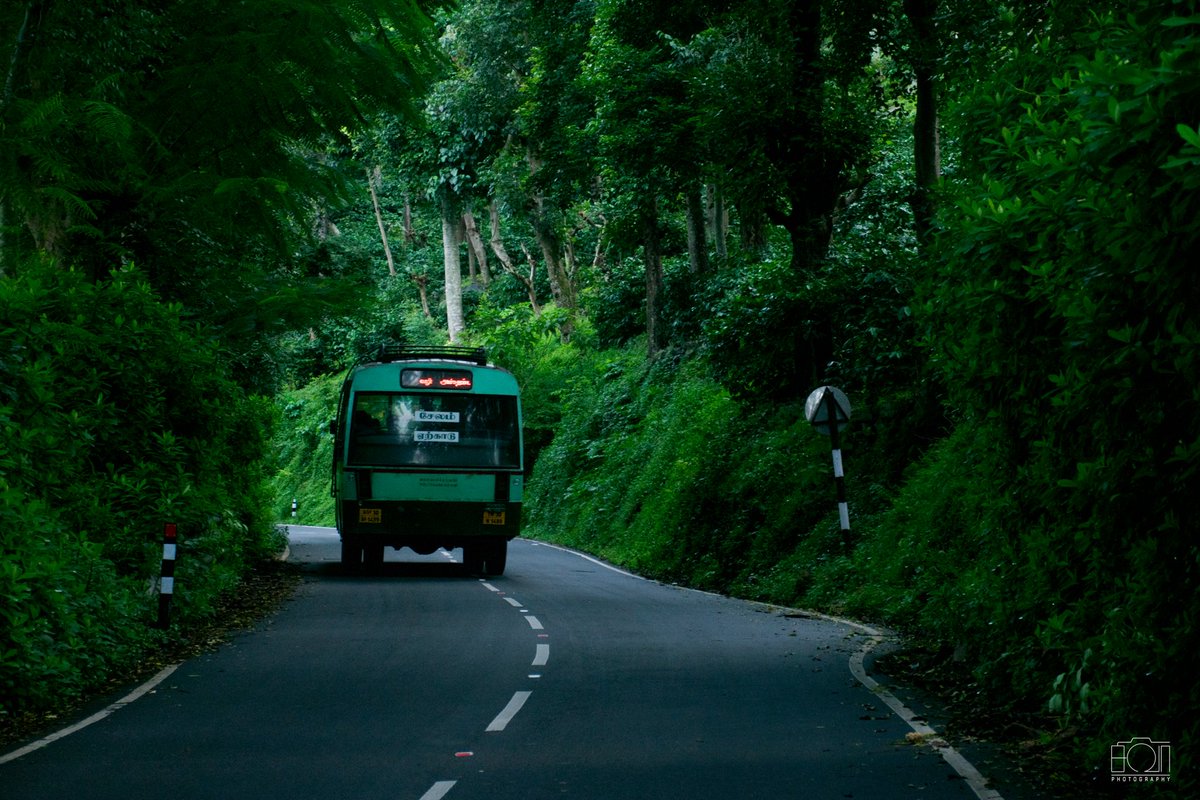 Yercaud,Tamilnadu.

#traveller #natgeo #natgeoyourshot #incredibleindia #photography #photographers_of_india #yercaud #yercaud #salem #bus #tnstcbus #nikon #hillstation 

@tripotocommunity <a href="/tntourismoffcl/">Tamil Nadu Tourism</a> <a href="/SPmagazine/">Smart Photography</a> @outlooktraveller @betterphotography <a href="/ttdcofficial/">Tamil Nadu Tourism Development Corporation</a> <a href="/tourismgoi/">Ministry of Tourism</a>
