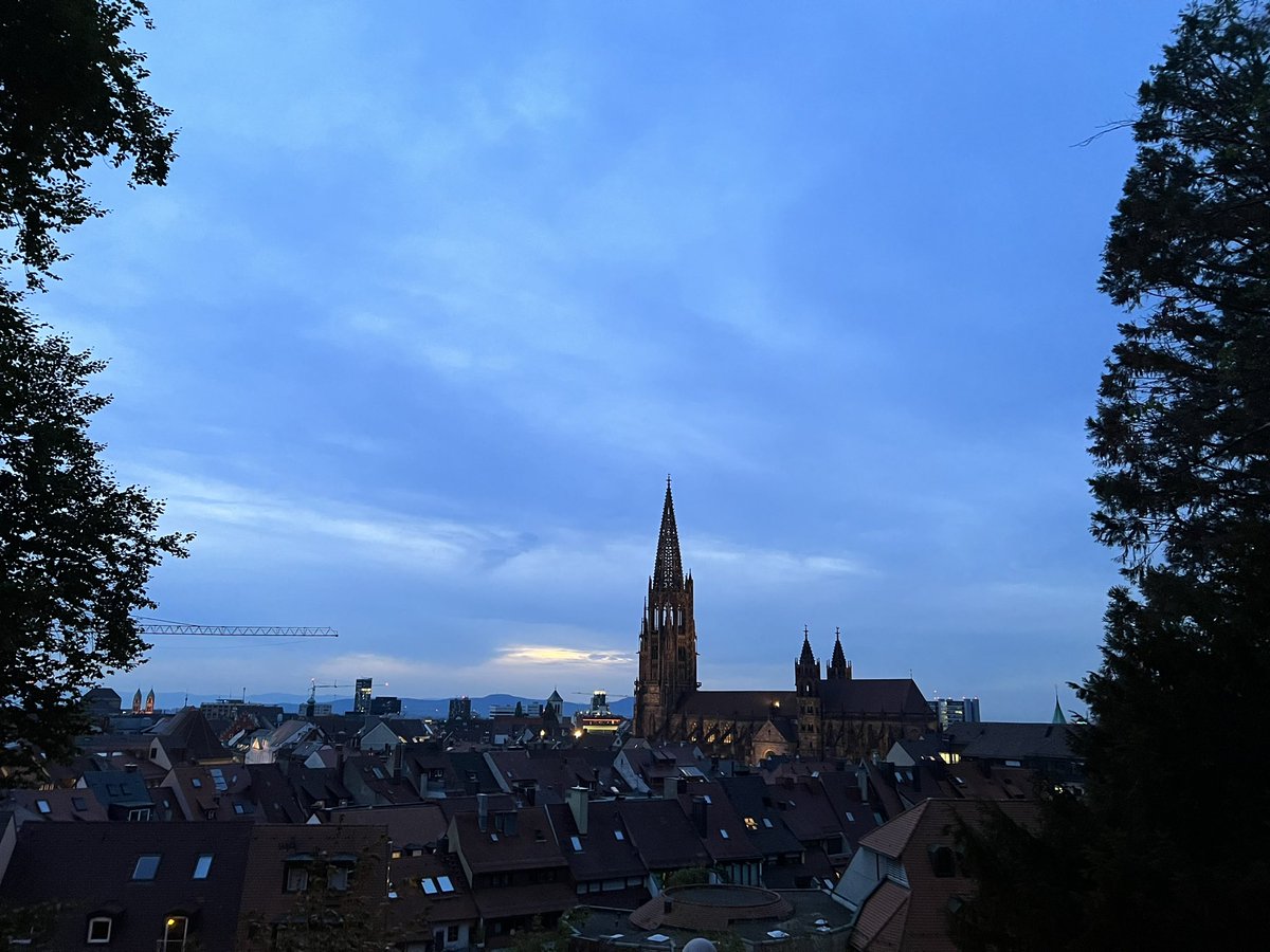 Eilidh MacDonald tweet media