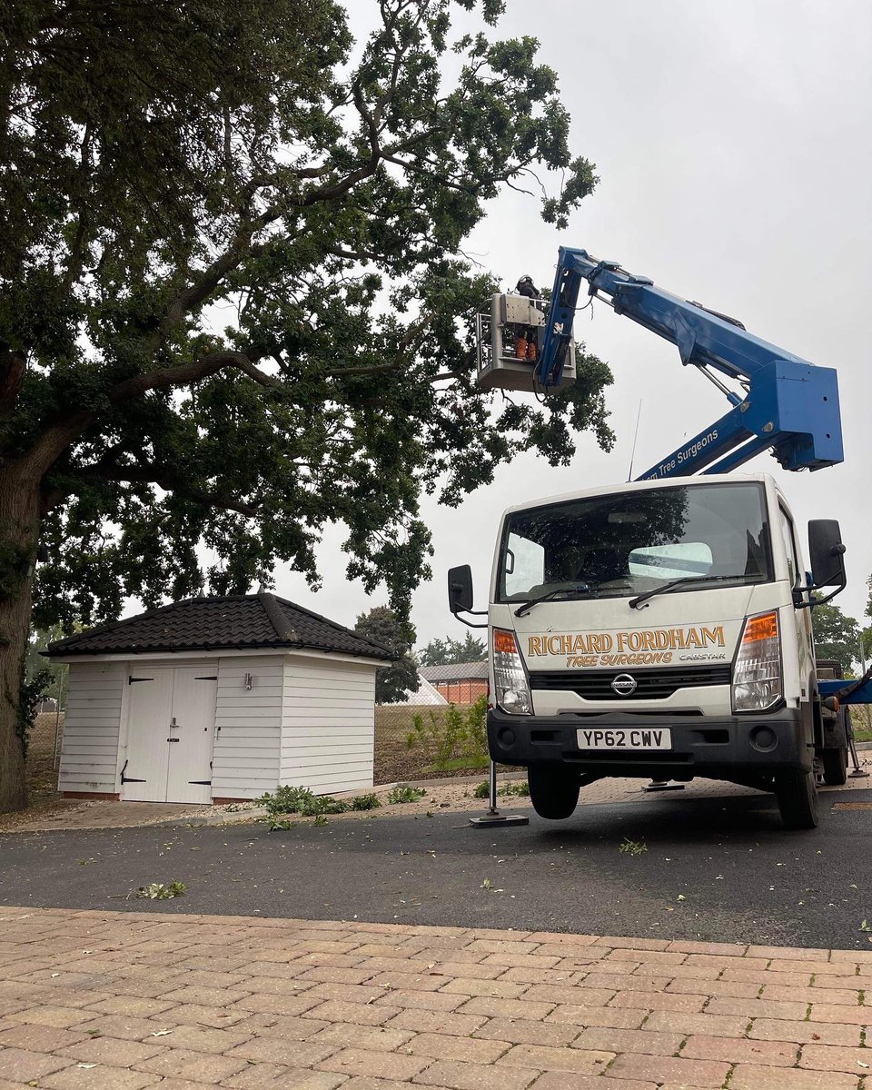 RFTreeSurgeons's tweet photo. Working on behalf of East Suffolk Council to reduce a Holm Oak tree and an English Oak tree. The pruning work was carried out by Harry and Jack. https://t.co/hCgDeV6McW https://t.co/B2T8rzx7y9
