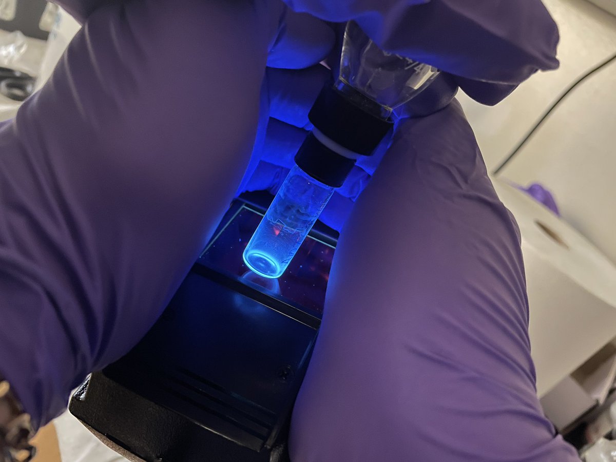 Looks like Robert is cooking something 🧐 #FluorescenceFriday @LeeGroup_LSU @LSU_Chemistry