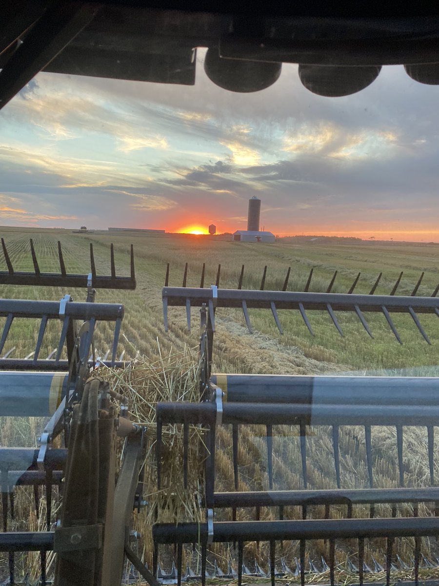 Saskitoba tweet media