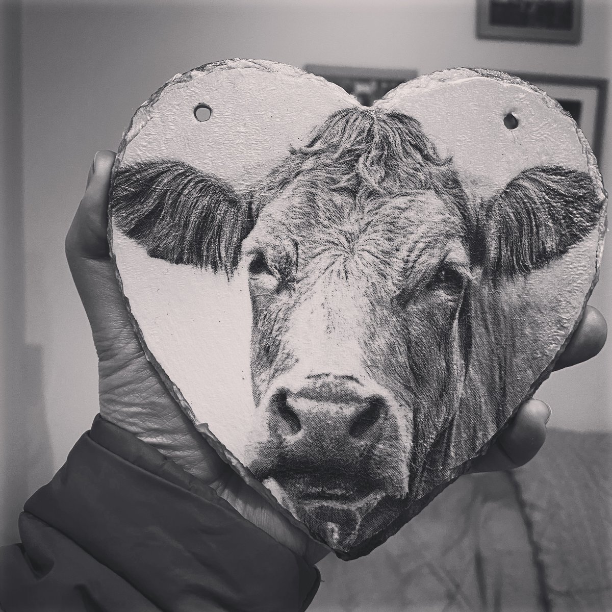 Chrissy Asplin tweet media