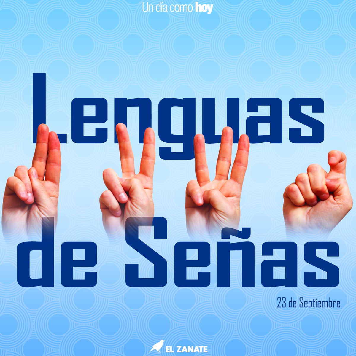 #UnDíaComoHoy se celebra el 'Día Internacional de las Lenguas de Señas' con el fín de apoyar y proteger 🫂 la identidad lingüistica y sobre todo respaldar a las personas sordas y otros usuarios de los lenguajes de signos. 👂🏽🤚🏻✌🏼 #23Septiembre #Nicaragua #lenguajeDeSeñas