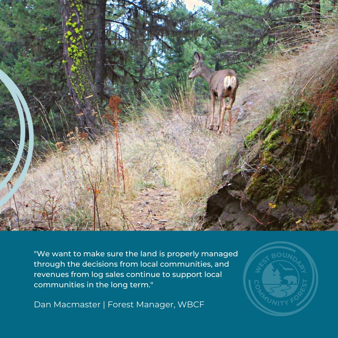 As part of #NationalForestWeek we introduce Dan Macmaster, RPF, and Peter Flett, RPF, forest managers of the West Boundary Community Forest.

To learn more about forest management practices at the community forest, visit lnkd.in/gTgC5ijb 🌲
 
#HealthyForests | <a href="/VaagenFibre/">Vaagen Fibre Canada</a>