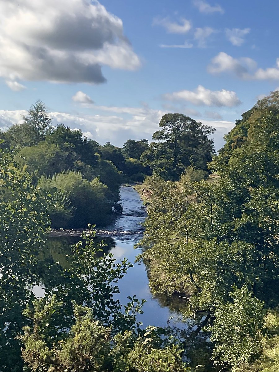 Good day for walkies #Brampton #Cumbria #autumn