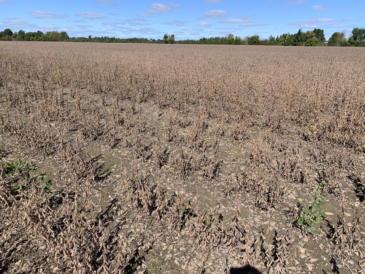 AYOS technologies tweet media