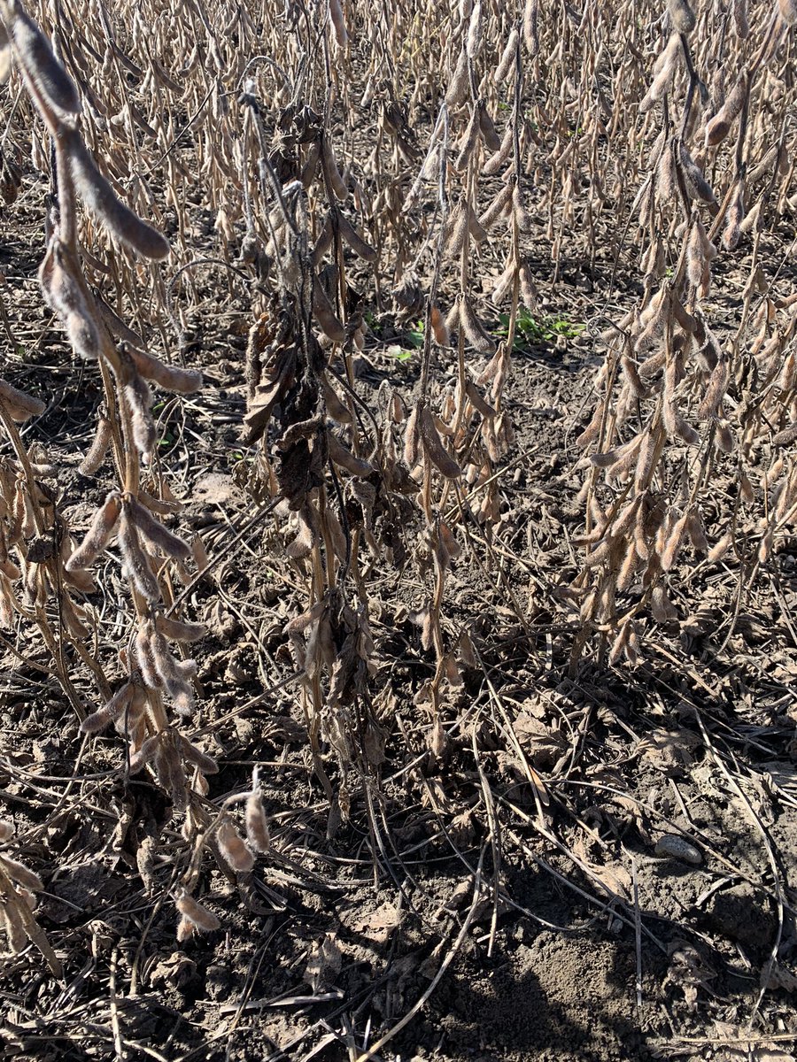 AYOS technologies tweet media