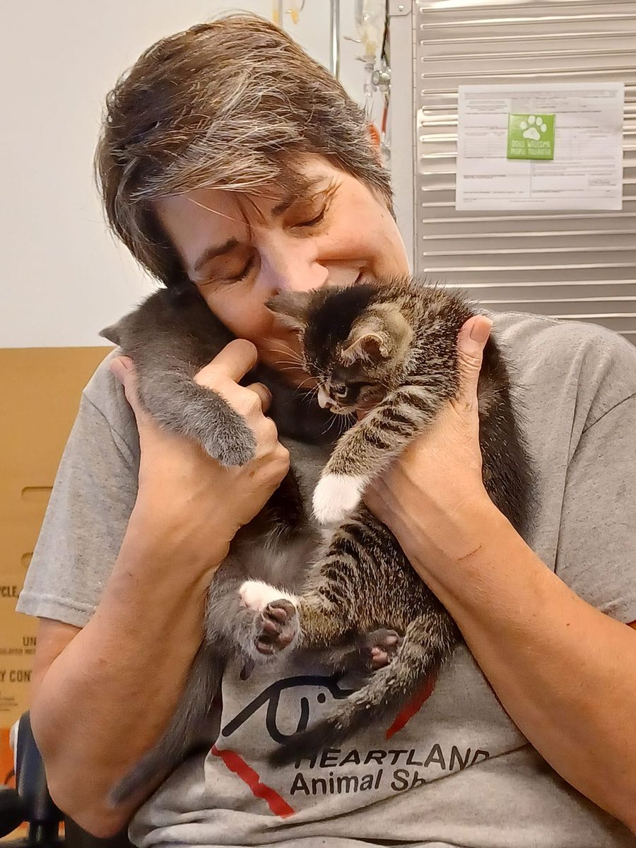 AdoptHeartland's tweet photo. WE ARE HIRING!
Heartland needs more Animal Care Attendants! Jobs involve performing general upkeep in the shelter and caring for dogs and cats. Read more and apply: https://t.co/iZdEJGAyxa
#rescuejobs #animalcare #dogjobs #catjobs https://t.co/QYCLhN1GLa