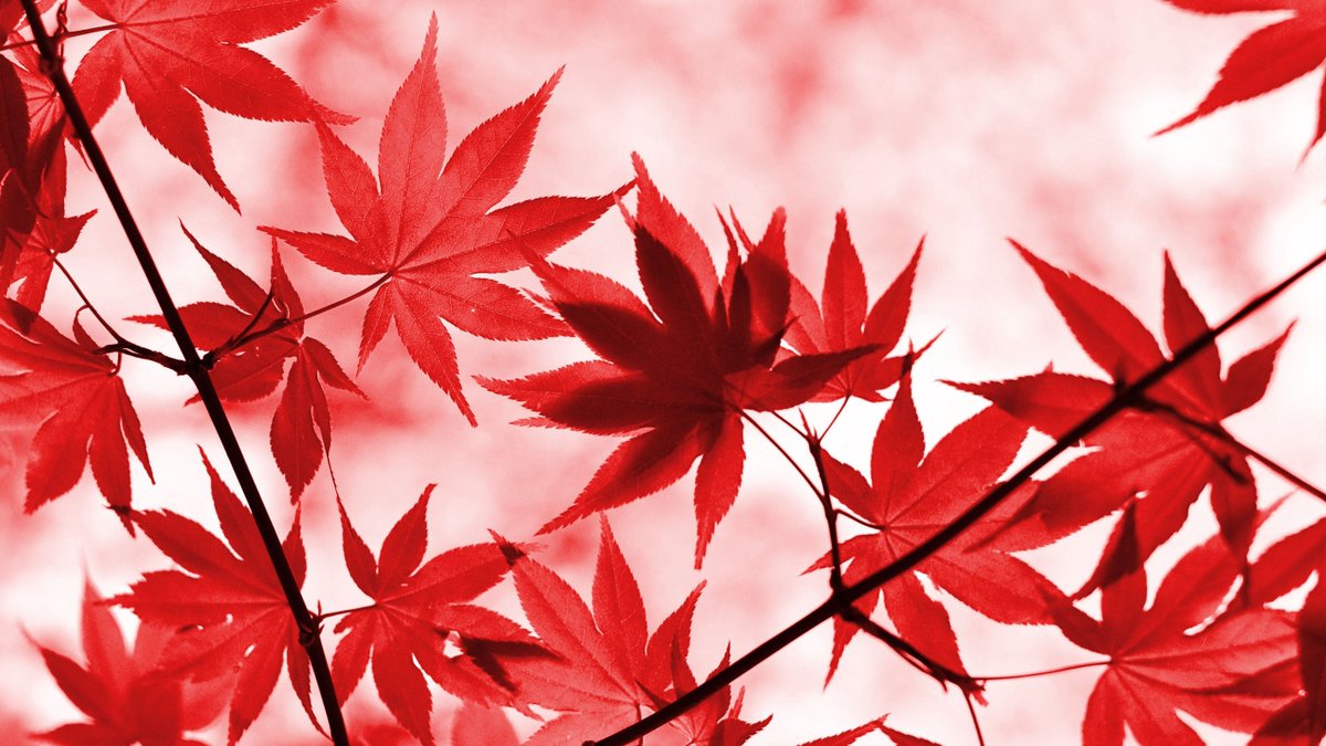 High Touch High Tech- Raleigh/Durham/Research Tri. tweet media