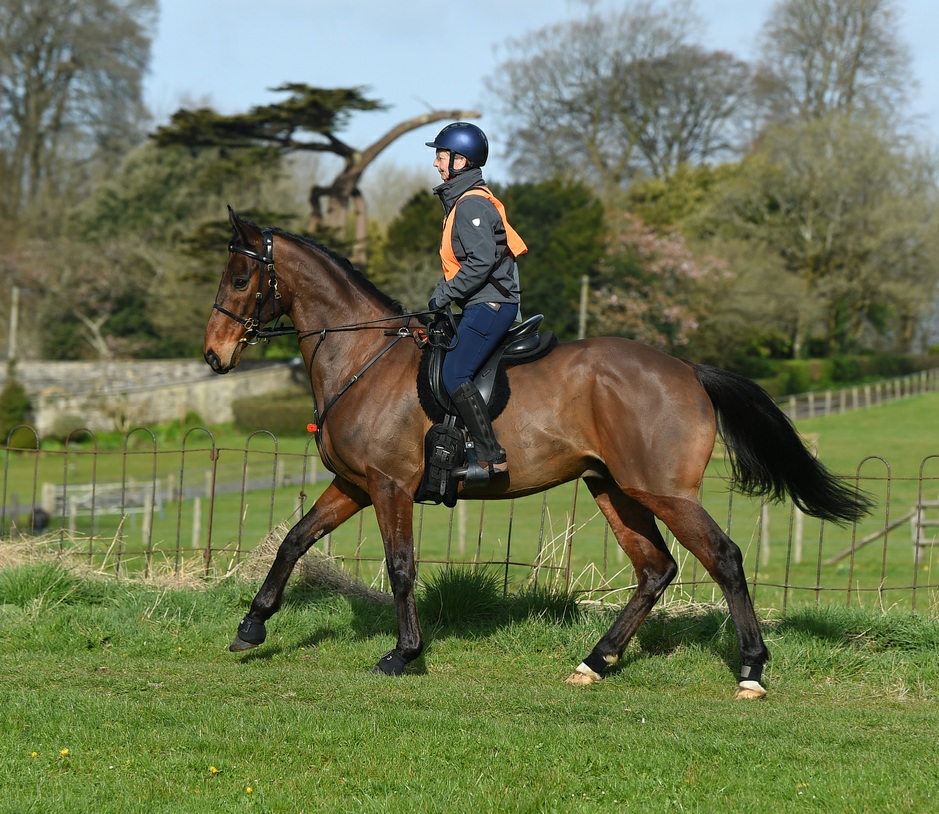 Well done Anna Collins for organising this with endurance represented for the first time in this parade of RoRs at Newmarket by Hayley Gilmore and Art Mauresque.
bit.ly/RoRNewmarket