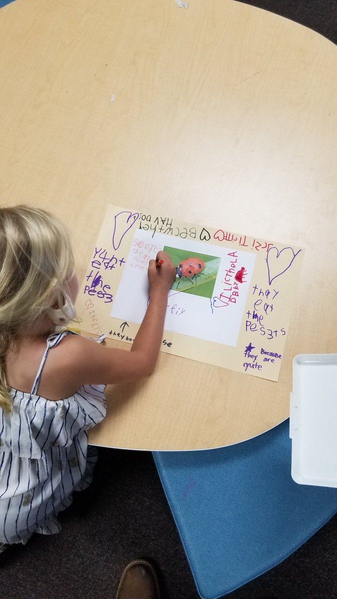 asmith_edu's tweet photo. We began our Amplify science studies of animal survival with a chalk walk thinking about what makes insects "gross or great". We followed this with a second round looking for questions that excite our curiosity about what creepy crawlies live all around us. #dmusd #dmheights https://t.co/Yuk3wwu854