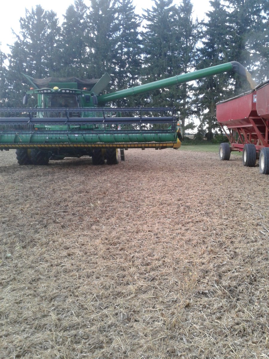 Miccer's tweet photo. Nice to get a start at some soys, DKB 14-65 #ontag 
@BrenairRick https://t.co/aWTLIcJcBP