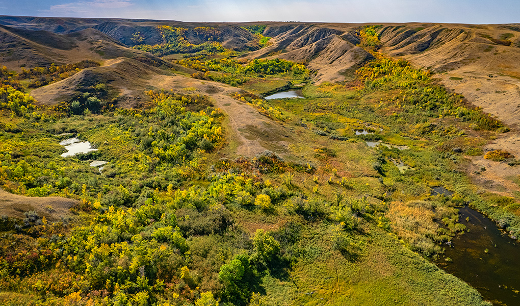 KarpanParkland's tweet photo. Fall colours in the coulees of SaskatchewanLandingProvincialPark @Saskathewan #SaskLanding #ExploreSask #ExploreCanada #TMACtravel #prairiesnorth #meanwhileinsask #SaskParks #LakeDief https://t.co/lAXZYCrQcc