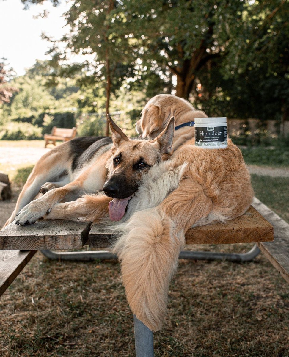 We at Fera, understand dogs' active lifestyles and we want to prolong that as much as we can. Combining our love for dogs and our knowledge of their traits, Fera Hip + Joint was created.

📸 ourwildestories

Visit ferapetorganics.com 

#petwellness #pethealth #healthypets