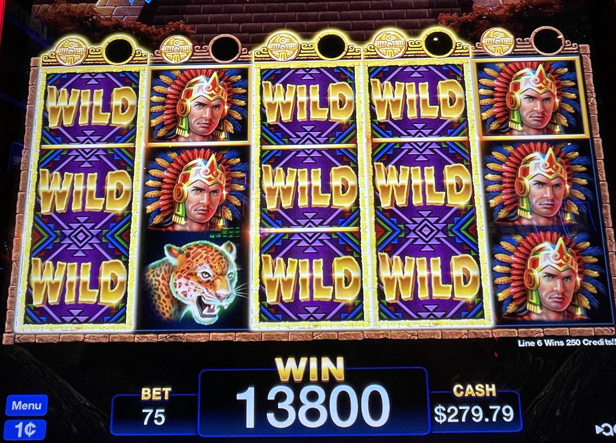 ap_piggy's tweet image. one of those days when mostly everything plays out right. gift after gift from the universe 🎁 🙏🏼