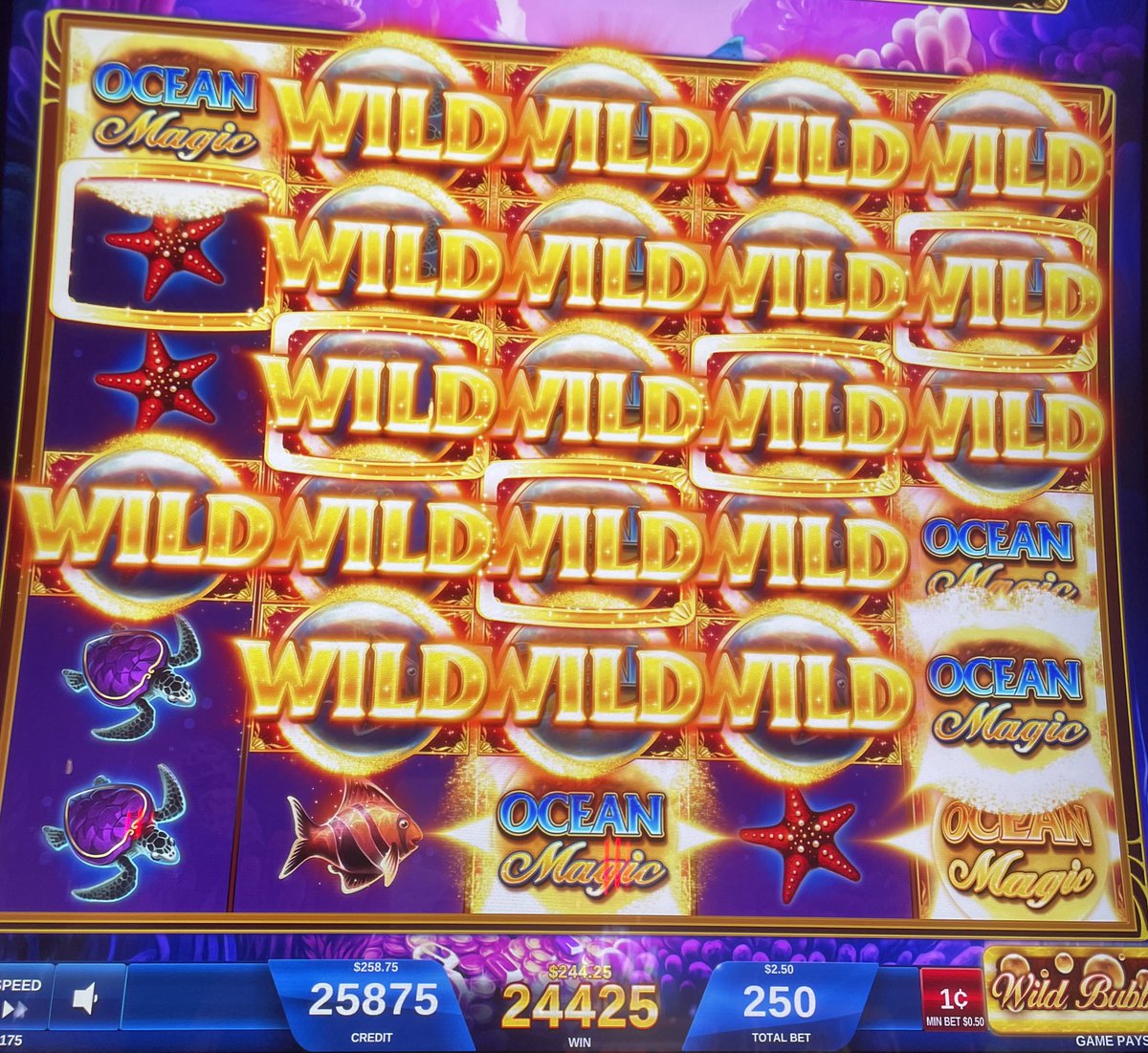 ap_piggy's tweet image. one of those days when mostly everything plays out right. gift after gift from the universe 🎁 🙏🏼