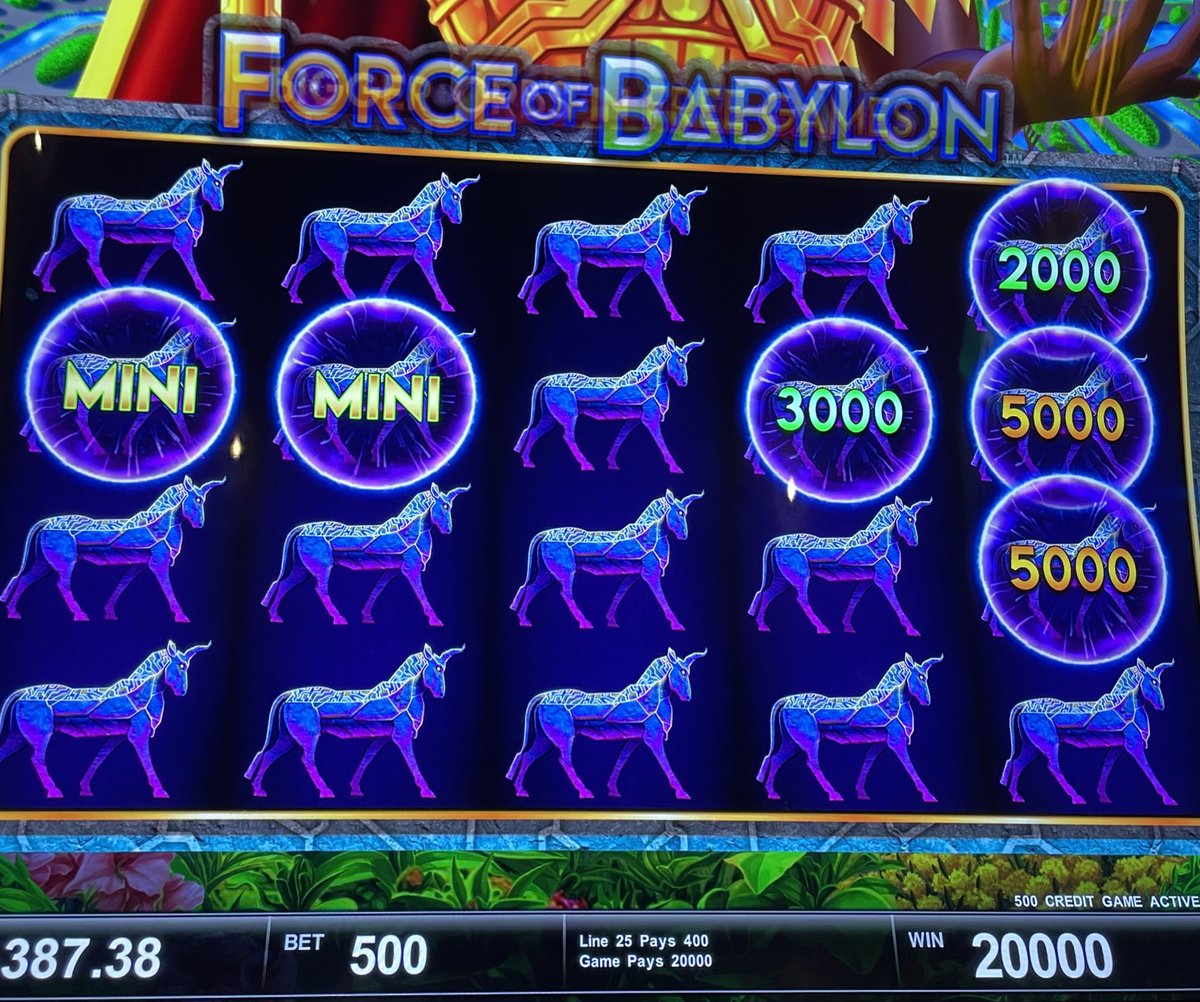 ap_piggy's tweet image. one of those days when mostly everything plays out right. gift after gift from the universe 🎁 🙏🏼