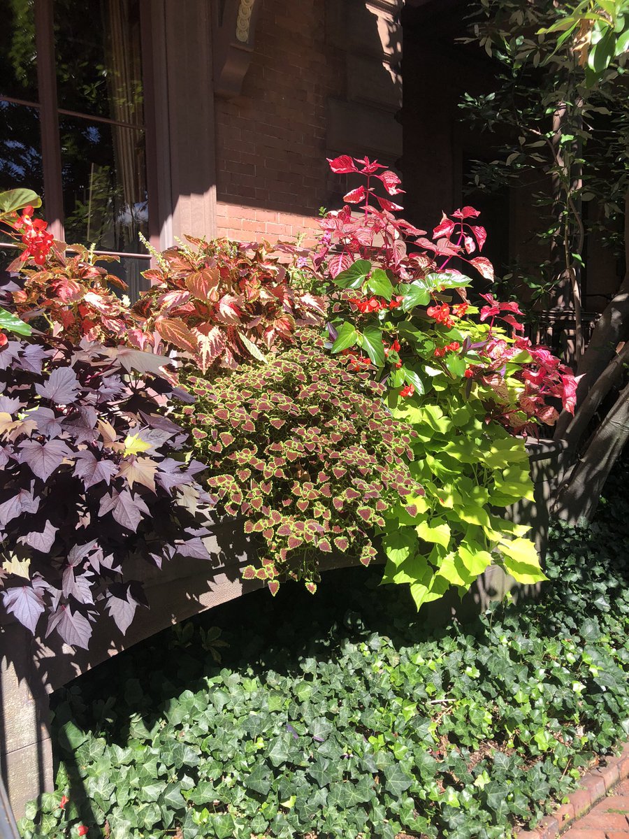 Lippitt House Museum tweet media
