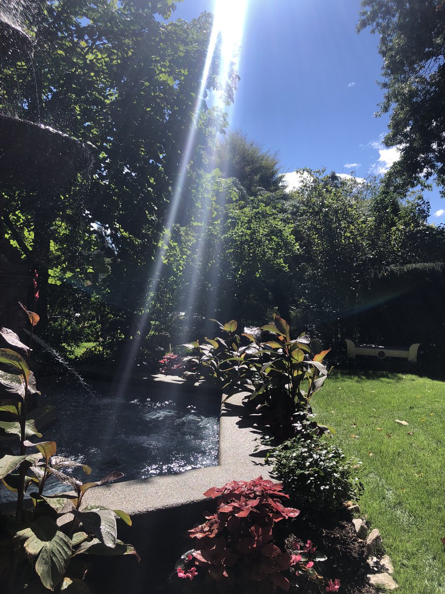 That Fall feeling has come but the plants are as lush as ever on the Lippitt House Museum grounds. #thriving