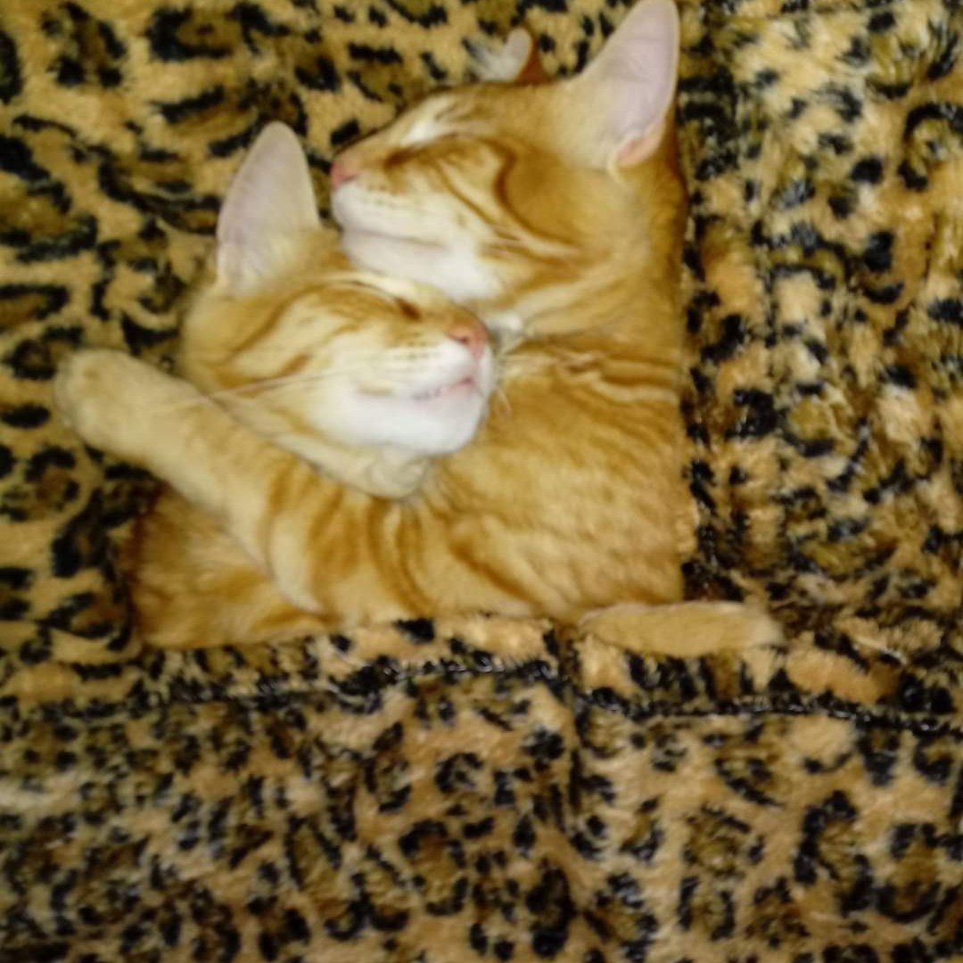 freackbitch's tweet image. #NewProfilePic