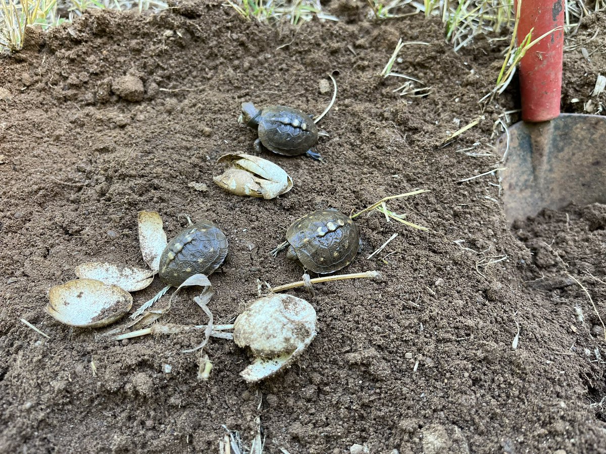 𝑫𝒂𝒗𝒊𝒅 𝑱𝒐𝒚 tweet media