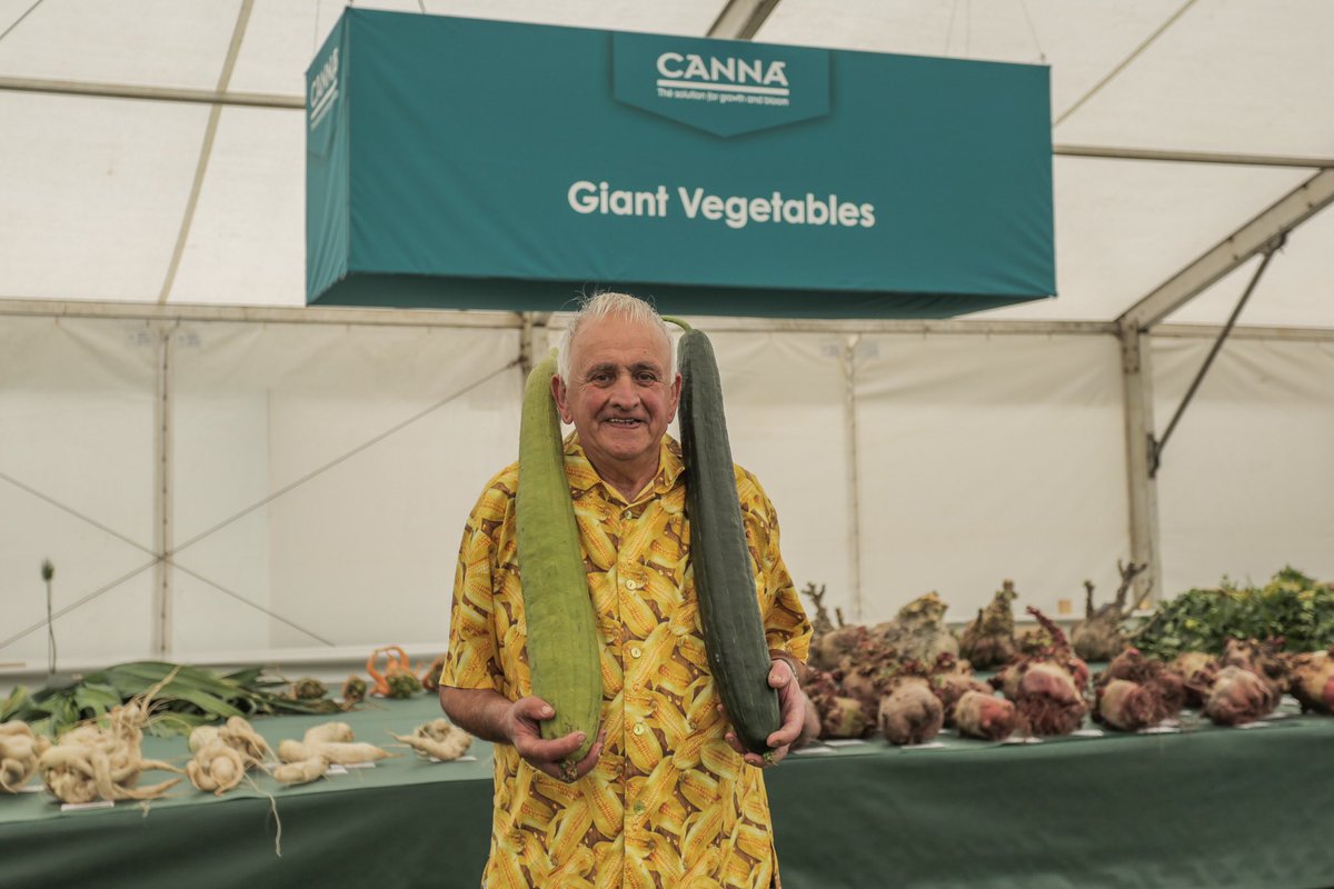 JoeWalshePhoto's tweet photo. Plenty of giant veg in store at the @MalvernShows. Joe Atherton (2nd pic) set the Guinness World Record for the longest turnip grown at 4.6m, beating his previous record set in 2019. 
@SWNS https://t.co/bnEOg7yx6D