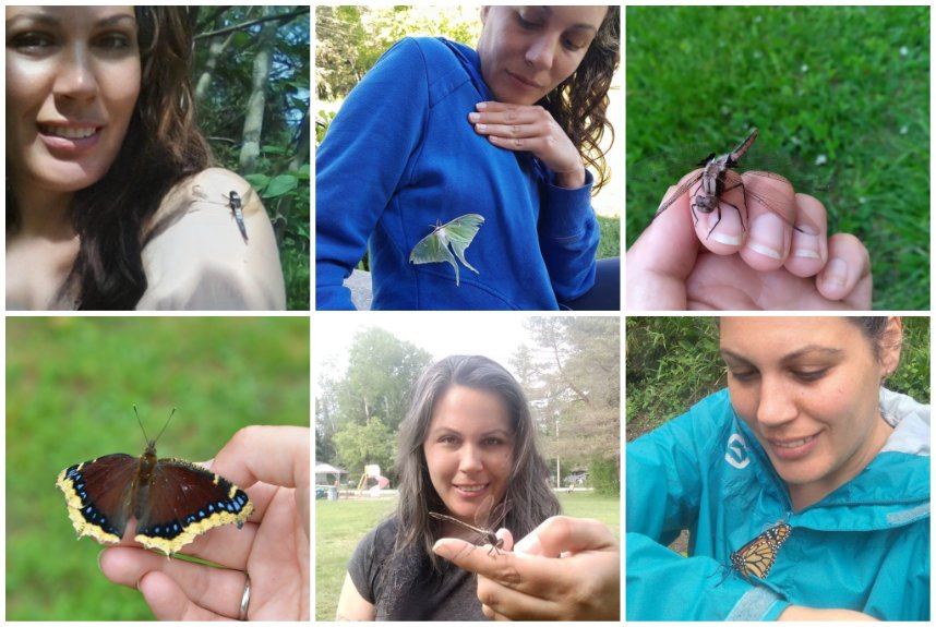 NorthernGinny's tweet photo. Just me and my favourite bug interactions from the past couple years. #bugnerd https://t.co/rvpwes9Q81