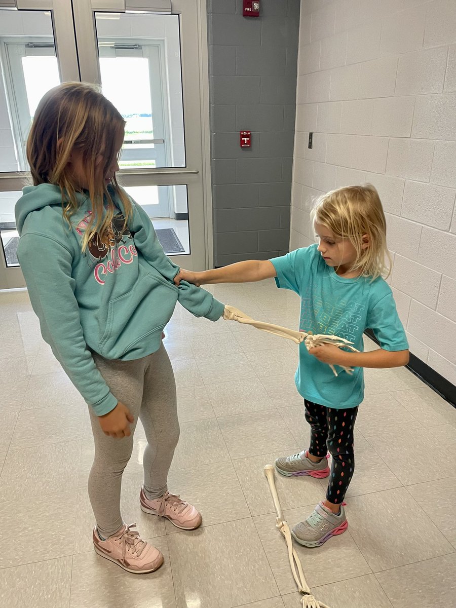 TeenTeacherLA's tweet photo. We built a skeleton!💀 
#HelloSam #OtsegoKnights https://t.co/LNMTlGMVBu