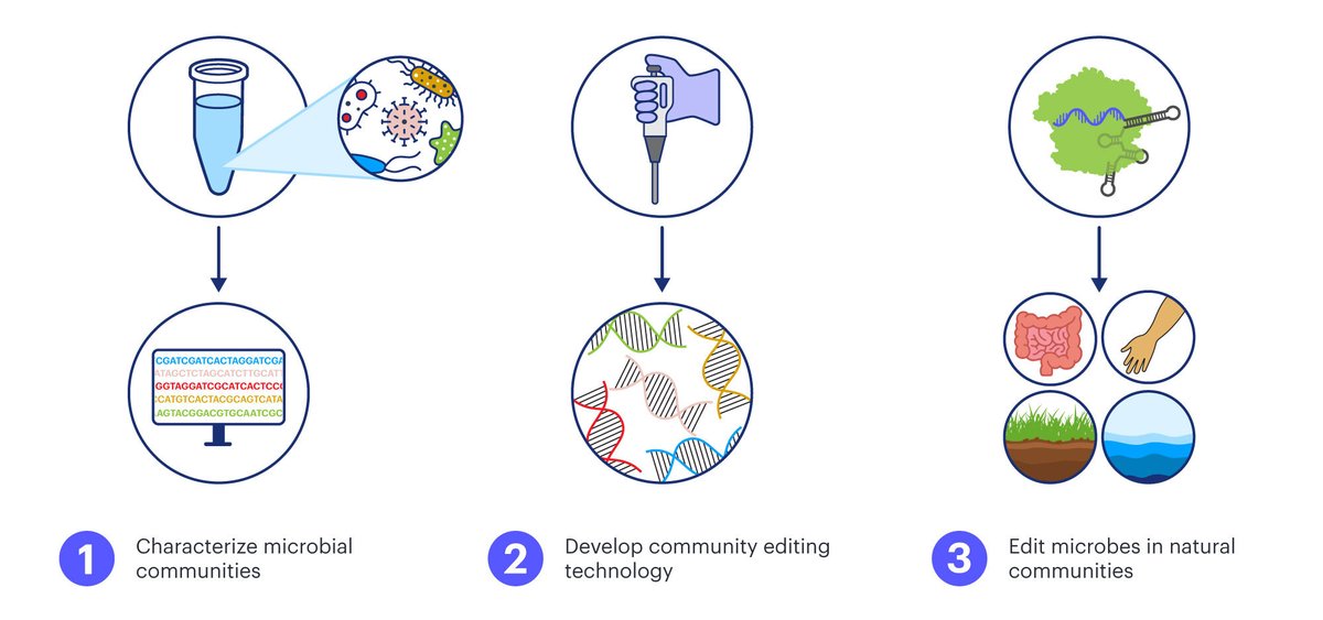 Introducing BiomeForge, IGI's microbiome engineering initiative led by @doudna_lab @BanfieldLab & new IGI Investigators @EmeryRubin @Dr__Diamond @bradyfcress! BiomeForge will use new #CRISPR-Cas systems in microbiomes to solve global challenges. bit.ly/3xSrm23