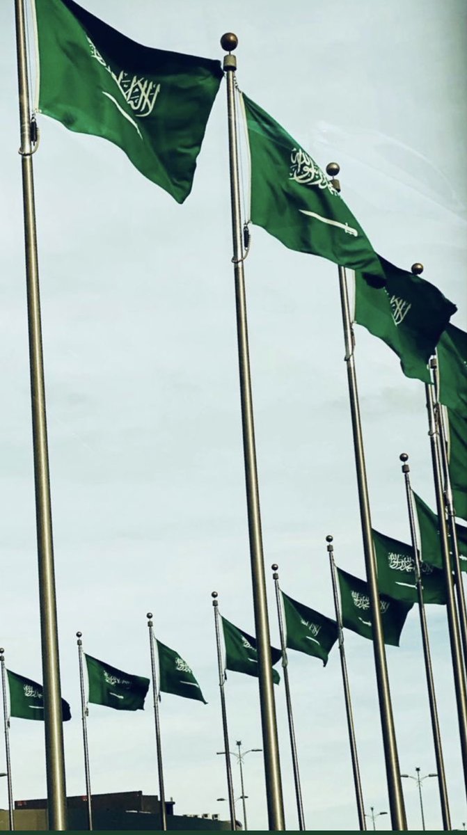 كل عام والوطن بخير 🇸🇦💚