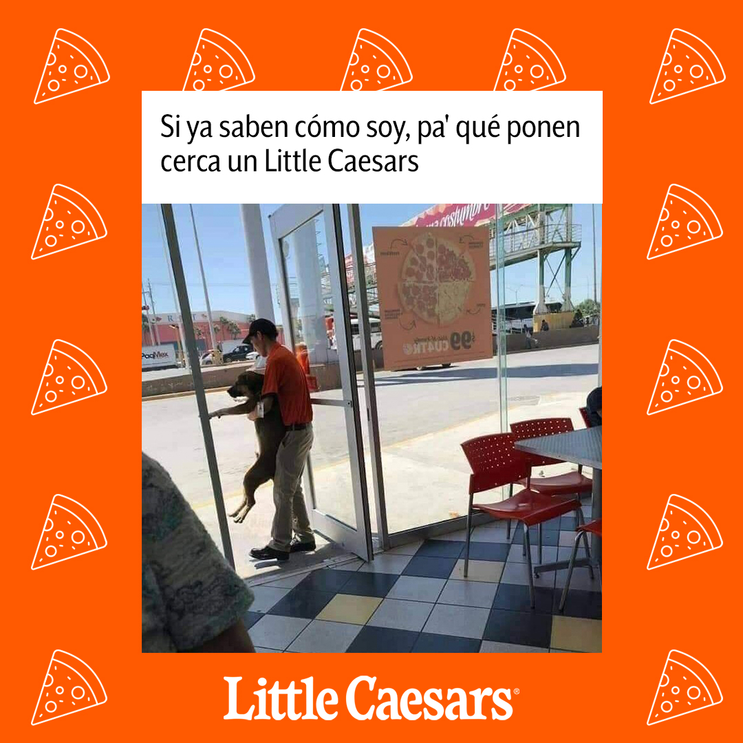 littlecaesarsmx's tweet photo. @perros_shidoris En honor al lomito que nos visitó, siempre en mi cora. 🫶🍕

*ningún perrito salió lastimado* https://t.co/bE3Jhll4zA