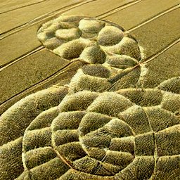 vaeotorvelix's tweet photo. In celebration of their reaching 200 followers on twitch, I thought I'd do something special for him.
I present to everyone, a piece called @Easymodestart 's Northern Cornfield from 500 meters.
#Vtuber #Alien #VelArt https://t.co/Kq0KVhp8wZ