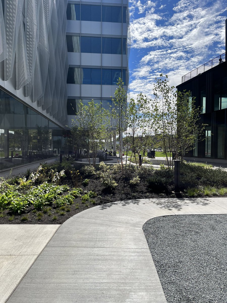 GBBNArchitects's tweet photo. 🎈🎉🥂🔥 <—All of the celebratory things, because #DigitalFutures is lit! It was a beautiful day to checkout #TheFutureOfResearch!
#GBBN #architecture #design #innovation #research
@UC_DigiFutures @TerrexCincy @uofcincy @schaefershares @cincy_id @messerwearebldg https://t.co/DoeHyc9bri