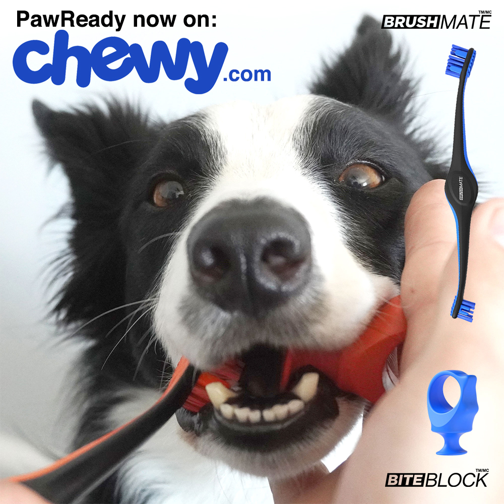PawReady's tweet photo. These amazing two new pet products are now available on chewy! A BrushMate toothbrush and the biteblock. Check out the combo kit Brush your dog’s teeth with the help of the BrushMate and BiteBlock.This combo makes brushing teeth a very smooth #chewy #pawready #pethealthcare #pet https://t.co/cIMUGyDBuV