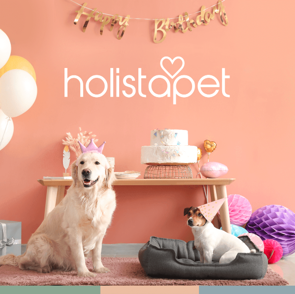 HolistaPet's tweet photo. Something exciting is coming your way... stay tuned this October 1st 🥳🤍

https://t.co/MjDMEPHWN1 https://t.co/vd7KDfqmXY