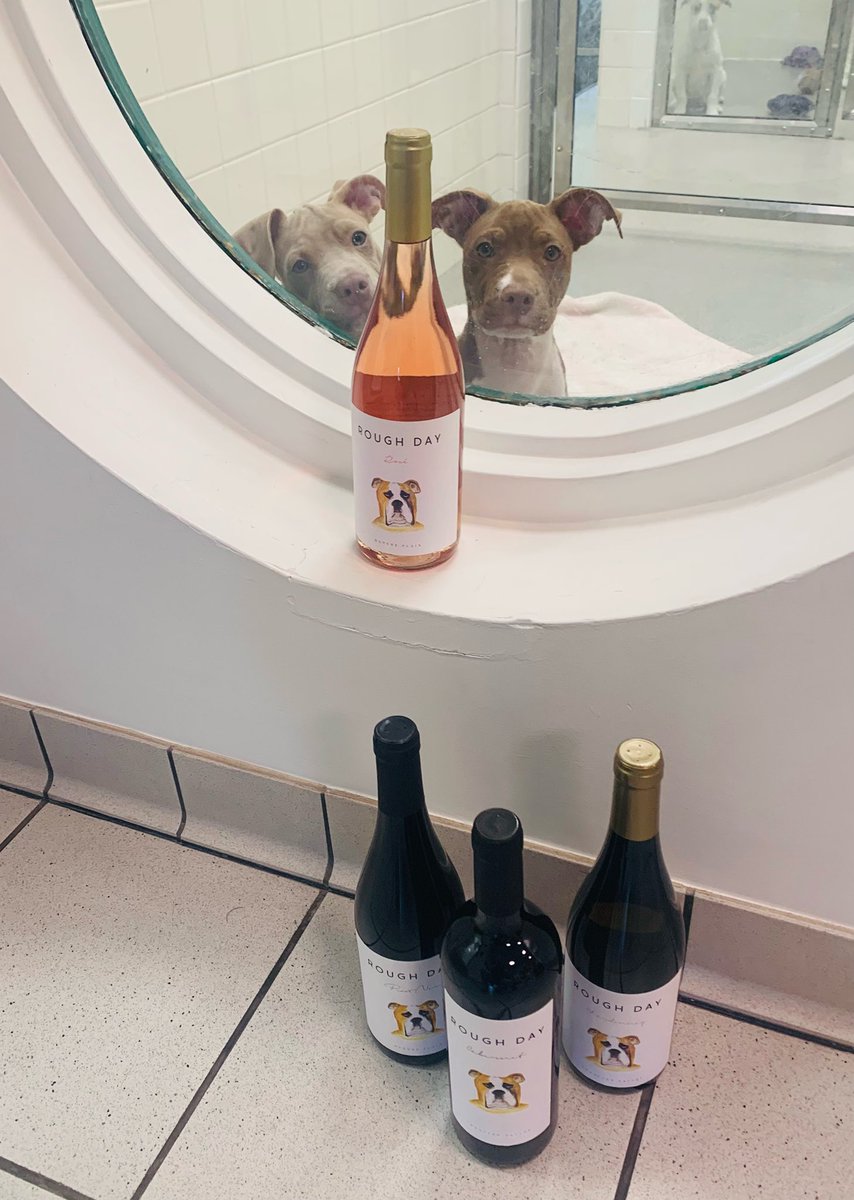 nashvillehumane's tweet photo. Thank you @RoughdayWine for donating items to our upcoming events “Wine Pull” #causeforpaws https://t.co/cvjDZ6cv1n