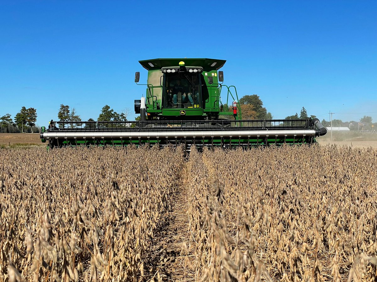 It’s a good day to start some <a href="/PioneerSeedsCA/">Pioneer Seeds Canada</a> IP Beans 🌱🌱 07A10s coming off at 13.4% moisture. 🤘🏼🤘🏼   <a href="/Willowgrove_Ag/">Willowgrove Ag Services</a> <a href="/VDBGrains/">V.D.B. Grains Ltd</a> <a href="/AndrewEhgoetz/">Andrew Ehgoetz</a> <a href="/McLaganFarms/">McLagan Farms</a>