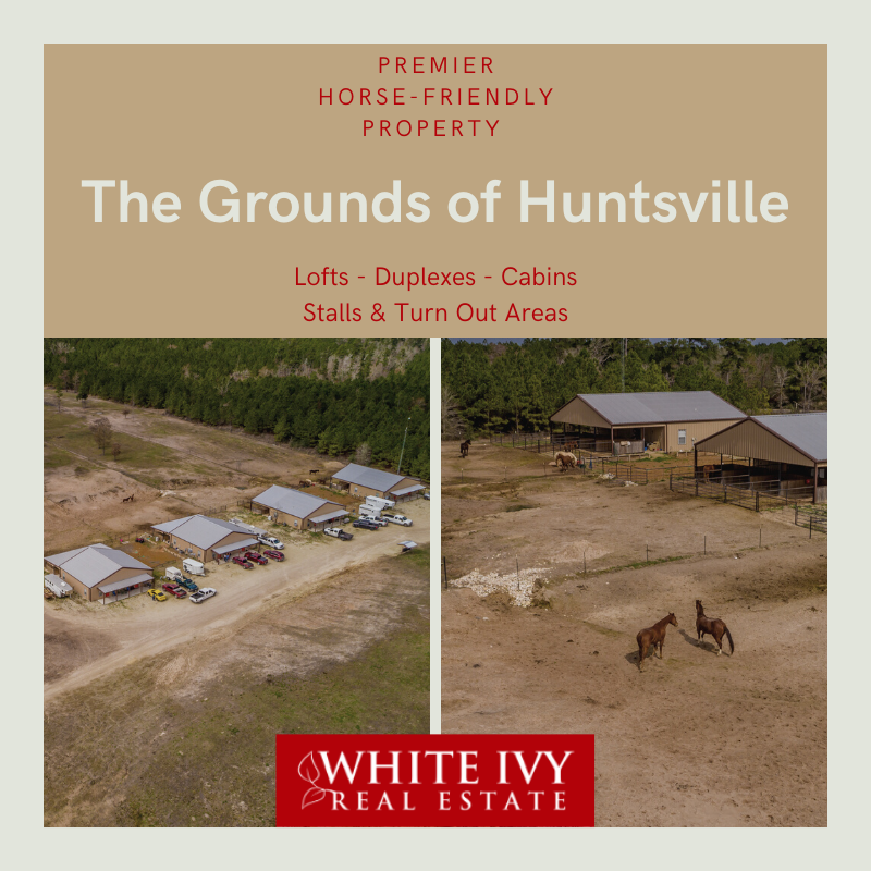 WhiteIvyTeamTX's tweet image. 🚦FOR LEASE🚦
🐴 The Grounds of Huntsville 🐴 is a premier horse-friendly property offering 1 and 2 bedroom units for lease.
🌞#WhiteIvyRealEstate
📞936-291-9000

APPLY TODAY:
whiteivyrealestate.managebuilding.com/Resident/renta…

#DonnaPinon #WhiteIvyRealEstate #HomeSweetHuntsville #TheGroundsofHuntsville