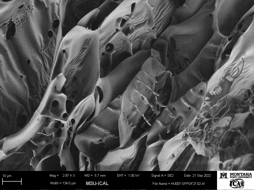 BimczokLab's tweet photo. Having fun with slime…
Cryo-SEM image of bioengineered human gastric mucus grown on organoid-derived monolayers and imaged after flash-freezing in liquid nitrogen at #ICAL https://t.co/rzlD4oNECF