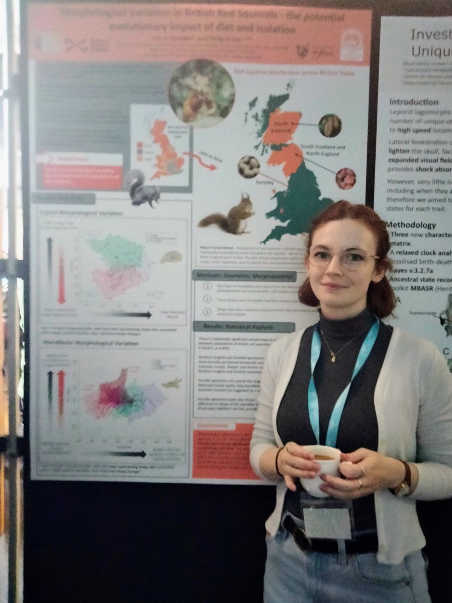 Kim Chandler 🐿 tweet media