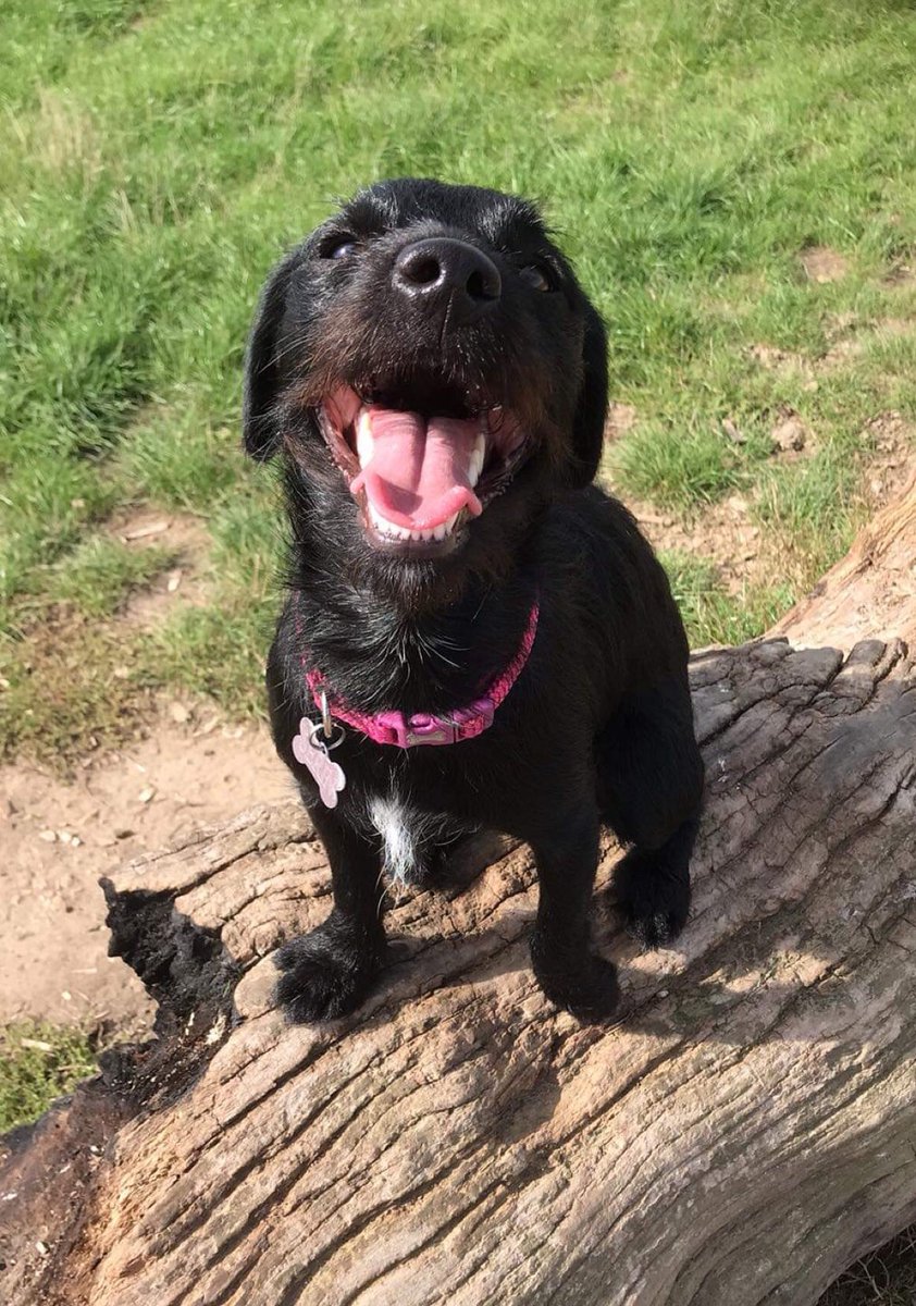 elley 🏳️‍🌈 tweet media